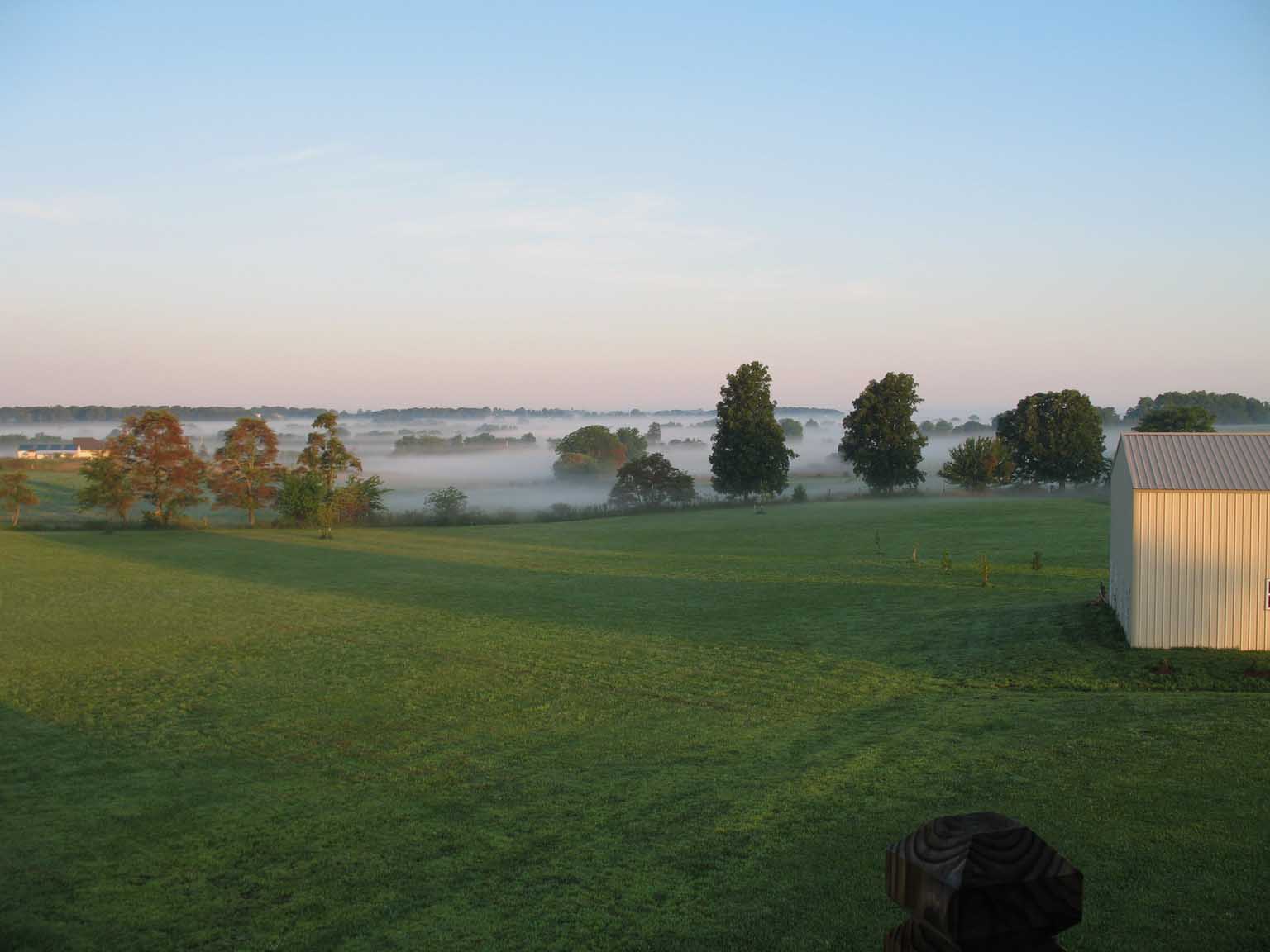 Morning fog