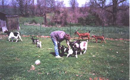 Katy & Goats